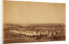Looking towards Mackenzie's Heights, tents of the 33rd Regiment in the foreground, Crimean War by Roger Fenton