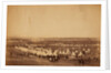Looking towards Mackenzie's Heights, tents of the 33rd Regiment in the foreground, Crimean War by Roger Fenton