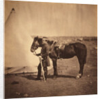 Captain Layard, aide-de-camp to Lieutenant General Pennefather, K.C.B., Crimean War by Roger Fenton