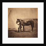 Captain Layard, aide-de-camp to Lieutenant General Pennefather, K.C.B., Crimean War by Roger Fenton