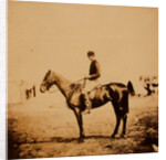 Captain Morgan, Rifle Corps, A.D.C. to General Bernard, on Coxcomb the winner of the Crimean races by Roger Fenton