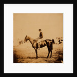 Captain Morgan, Rifle Corps, A.D.C. to General Bernard, on Coxcomb the winner of the Crimean races by Roger Fenton