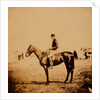 Captain Morgan, Rifle Corps, A.D.C. to General Bernard, on Coxcomb the winner of the Crimean races by Roger Fenton