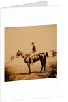 Captain Morgan, Rifle Corps, A.D.C. to General Bernard, on Coxcomb the winner of the Crimean races by Roger Fenton