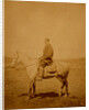 Captain Chawner, Crimean War by Roger Fenton