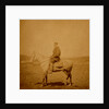 Captain Chawner, Crimean War by Roger Fenton
