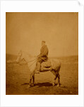 Captain Chawner, Crimean War by Roger Fenton
