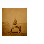 Captain Chawner, Crimean War by Roger Fenton