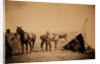 Officers of the 90th by Roger Fenton