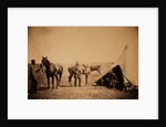 Officers of the 90th by Roger Fenton