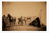 Officers of the 90th by Roger Fenton
