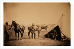 Officers of the 90th by Roger Fenton