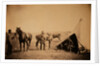 Officers of the 90th by Roger Fenton