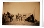 Officers of the 90th by Roger Fenton