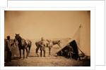 Officers of the 90th by Roger Fenton