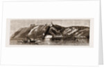 1. The Indian Government Steamer May Frere, With The Prince Of Wales On Board by Anonymous
