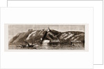 1. The Indian Government Steamer May Frere, With The Prince Of Wales On Board by Anonymous