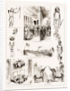 The Prince Of Wales In Ceylon, Sri Lanka by Anonymous