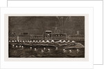 The Prince Of Wales In India by Anonymous