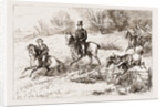 In The Hunting Field by Anonymous