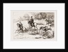 In The Hunting Field by Anonymous