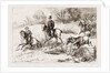 In The Hunting Field by Anonymous
