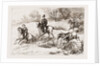 In The Hunting Field by Anonymous