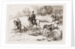 In The Hunting Field by Anonymous