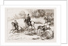 In The Hunting Field by Anonymous