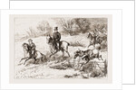 In The Hunting Field by Anonymous