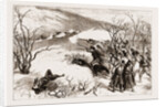 The Herzegovinian Insurrection: Action Between Trebinje And Ragusa, 1876 by Anonymous