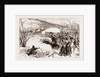 The Herzegovinian Insurrection: Action Between Trebinje And Ragusa, 1876 by Anonymous
