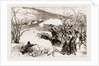 The Herzegovinian Insurrection: Action Between Trebinje And Ragusa, 1876 by Anonymous
