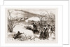 The Herzegovinian Insurrection: Action Between Trebinje And Ragusa, 1876 by Anonymous