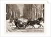 Sleighing At The Hague by Anonymous