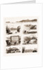 In The Malay Peninsula by Anonymous
