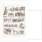 The Sham Fight Before The Prince Of Wales At Delhi, India by Anonymous