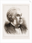 Daniel Macnee, Esq. by Anonymous
