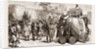 The Prince Of Wales In India: The Prince Mounting His Elephant At Jeypore, 1876 by Anonymous