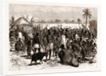 The Central African Expedition: Soko Or Market At Kawele, 1876 by Anonymous