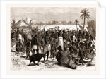The Central African Expedition: Soko Or Market At Kawele, 1876 by Anonymous