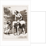 The Smallest Elephant In Camp by Anonymous