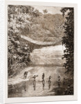 Suspension Bridge Over The Lulindi, Africa by Anonymous