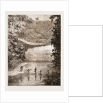 Suspension Bridge Over The Lulindi, Africa by Anonymous