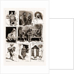 A Night Guard, Cake Seller by Anonymous