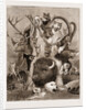 The Wild Game Of Europe, Hunting Trophies by Anonymous
