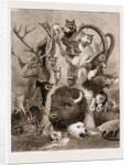 The Wild Game Of Europe, Hunting Trophies by Anonymous
