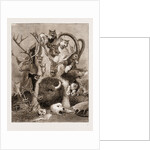 The Wild Game Of Europe, Hunting Trophies by Anonymous