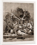 The Wild Game Of America, 1876 by Anonymous