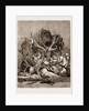 The Wild Game Of America, 1876 by Anonymous